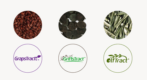 企業vi設計技術解析