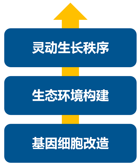 消費(fèi)升級大時(shí)代，品牌如何進(jìn)行戰(zhàn)略升級？