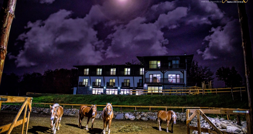 羅馬尼亞Potcoava mountain度假勝地視覺形象設計