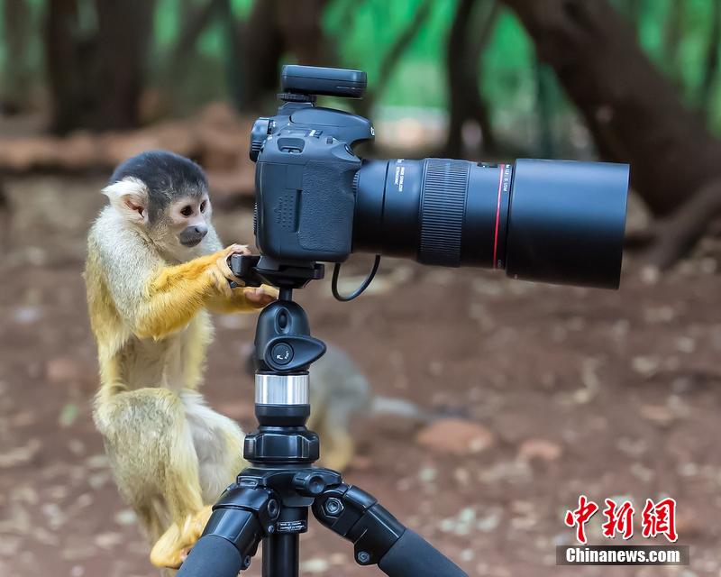 宣傳片拍攝時突出主體？