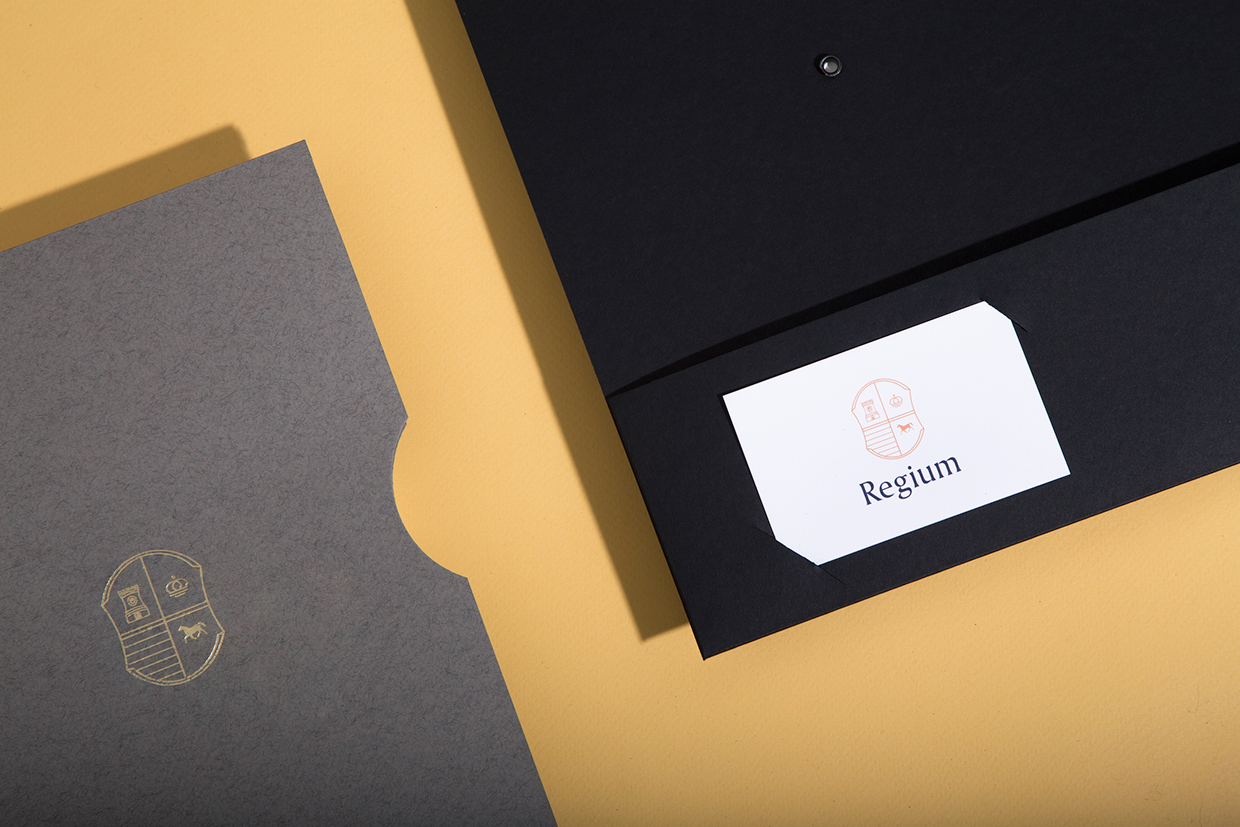Regium房地產咨詢公司品牌視覺設計