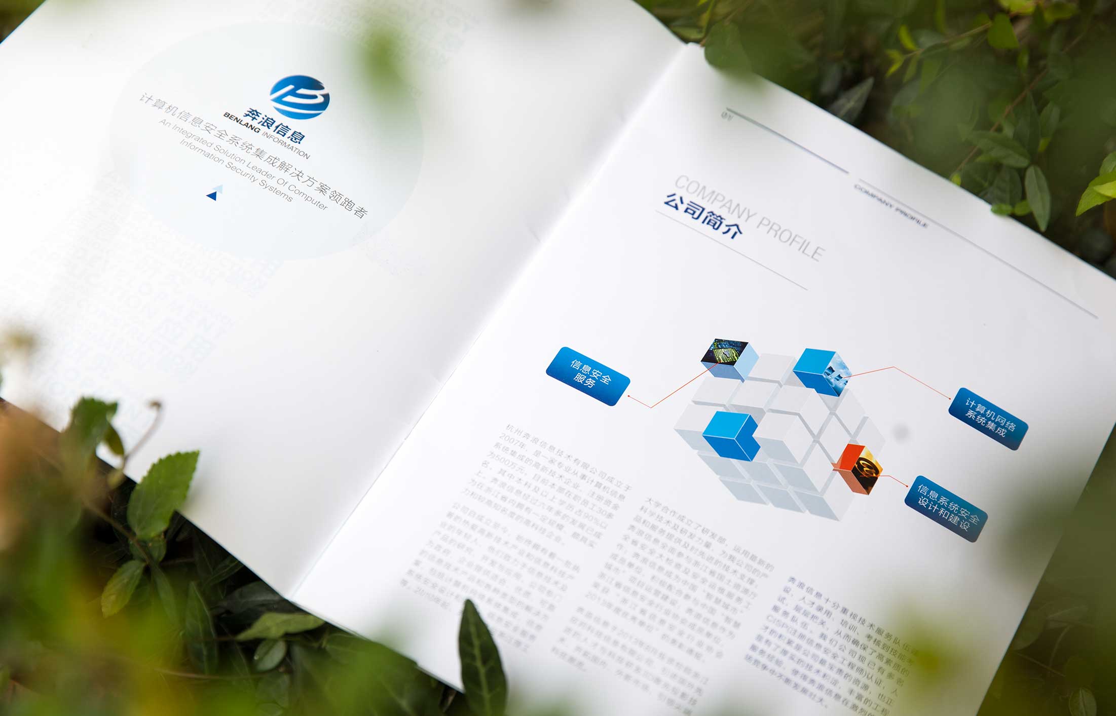 1625887889445873.jpg 9173771.JPG