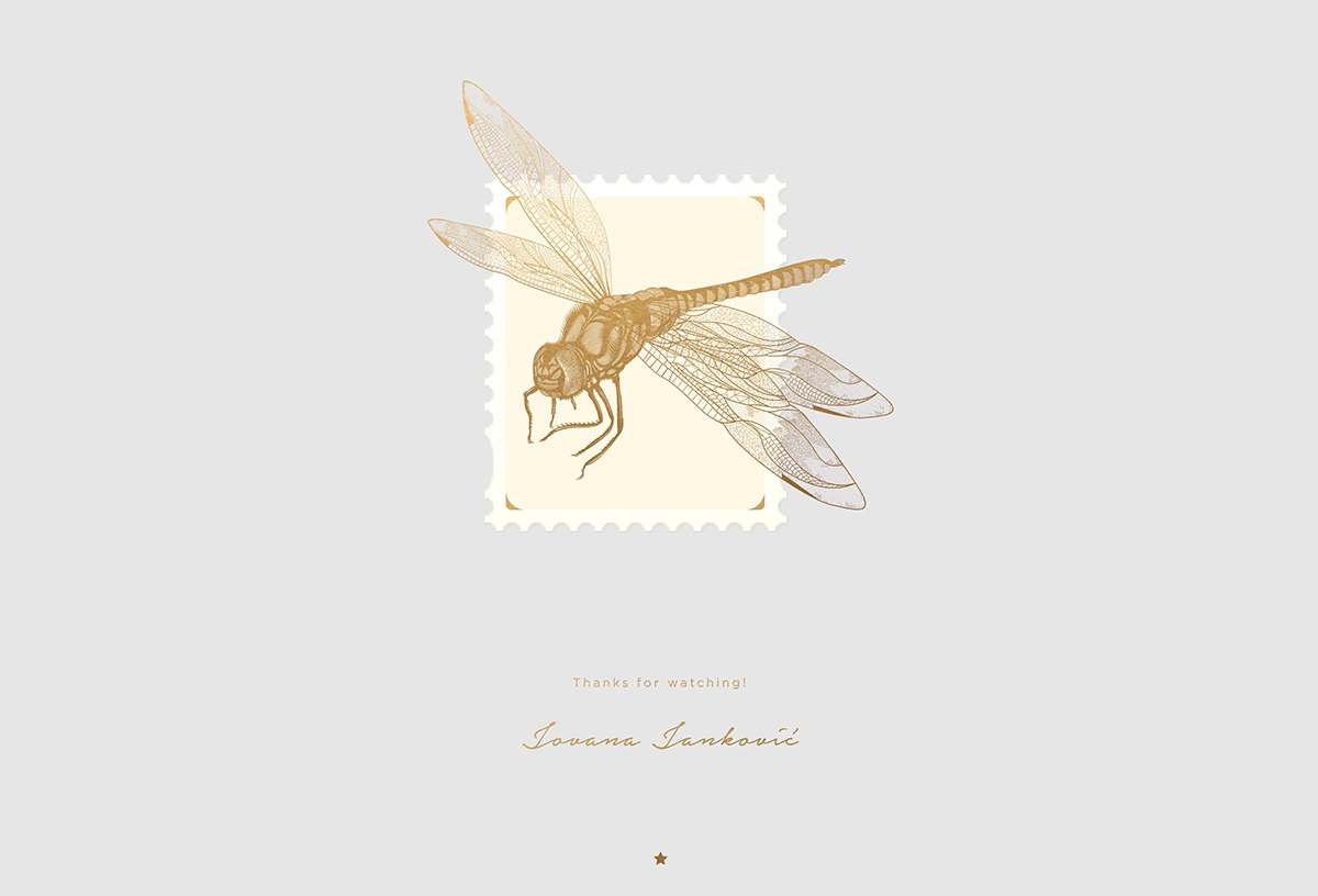 大自然的奇跡，蜻蜓主題的咖啡品牌包裝設計