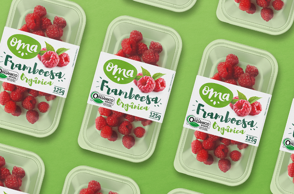 覆盆子包裝設計