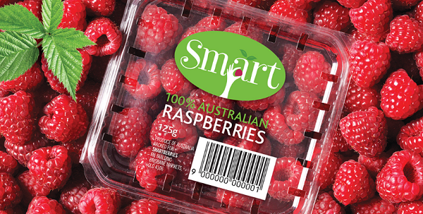 水果-藍莓,黑莓,覆盆子,西紅柿,橙子,蘋果包裝設計大全