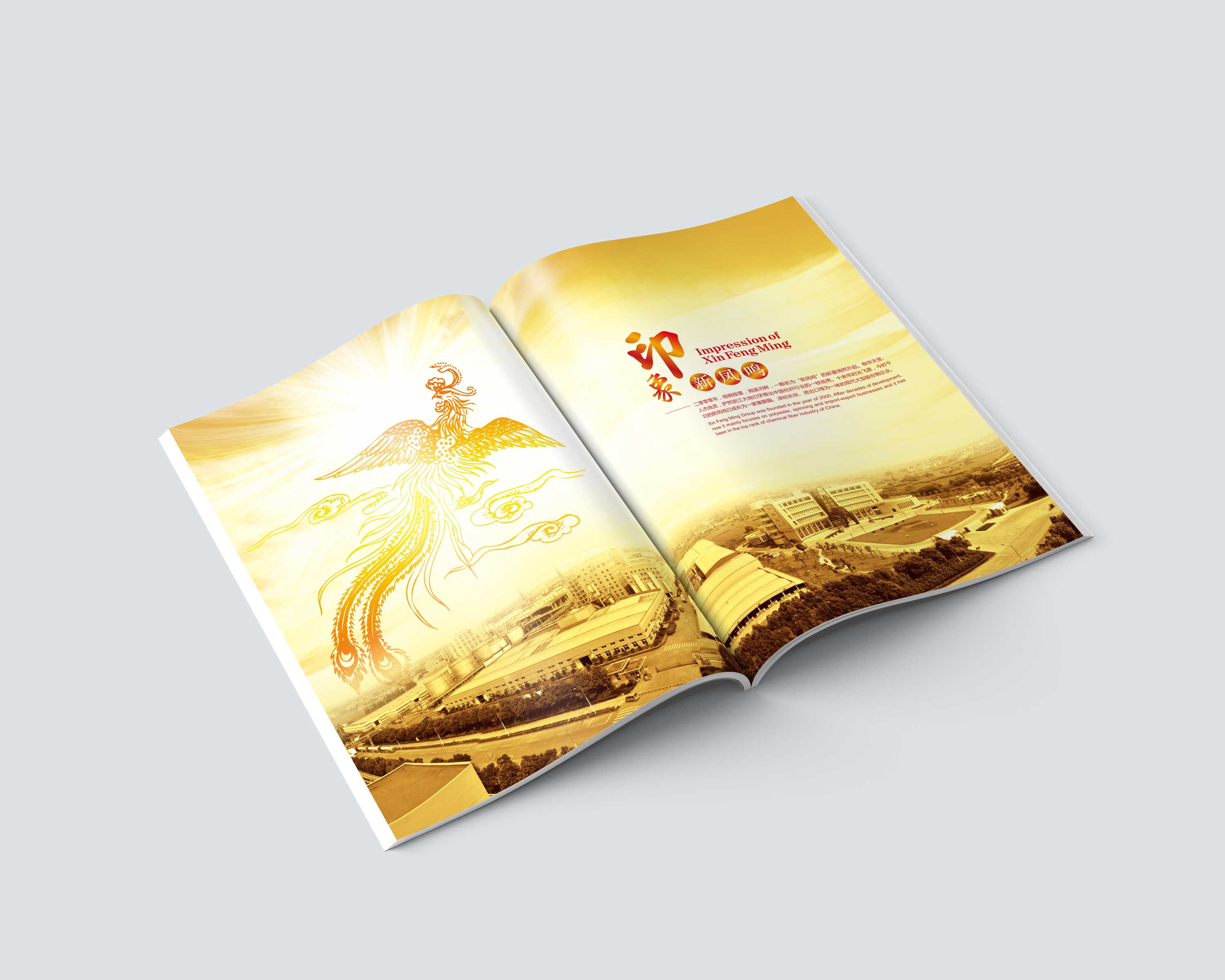 新鳳鳴集團(tuán)畫冊(cè)