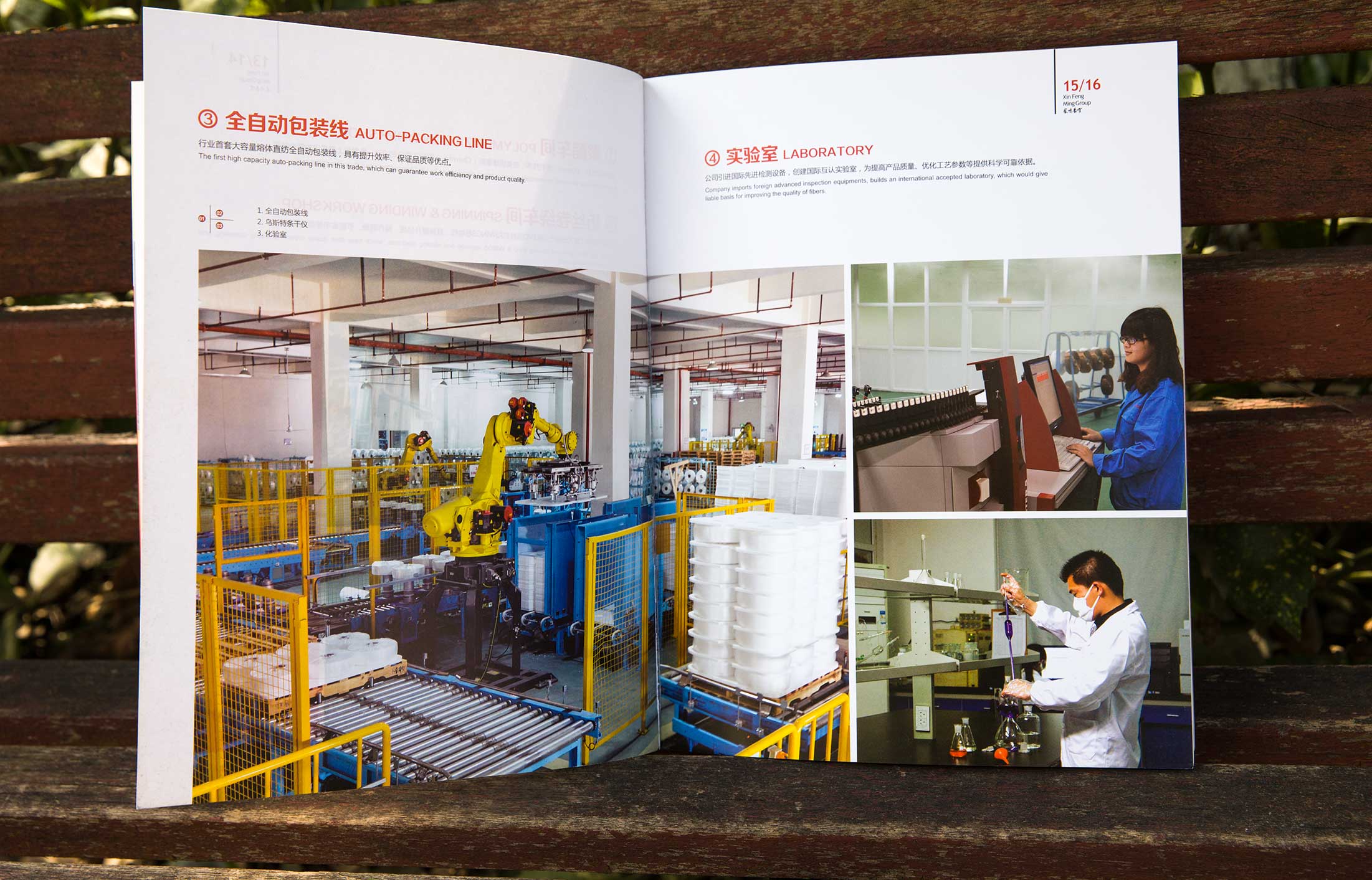 新鳳鳴集團(tuán)畫冊(cè)