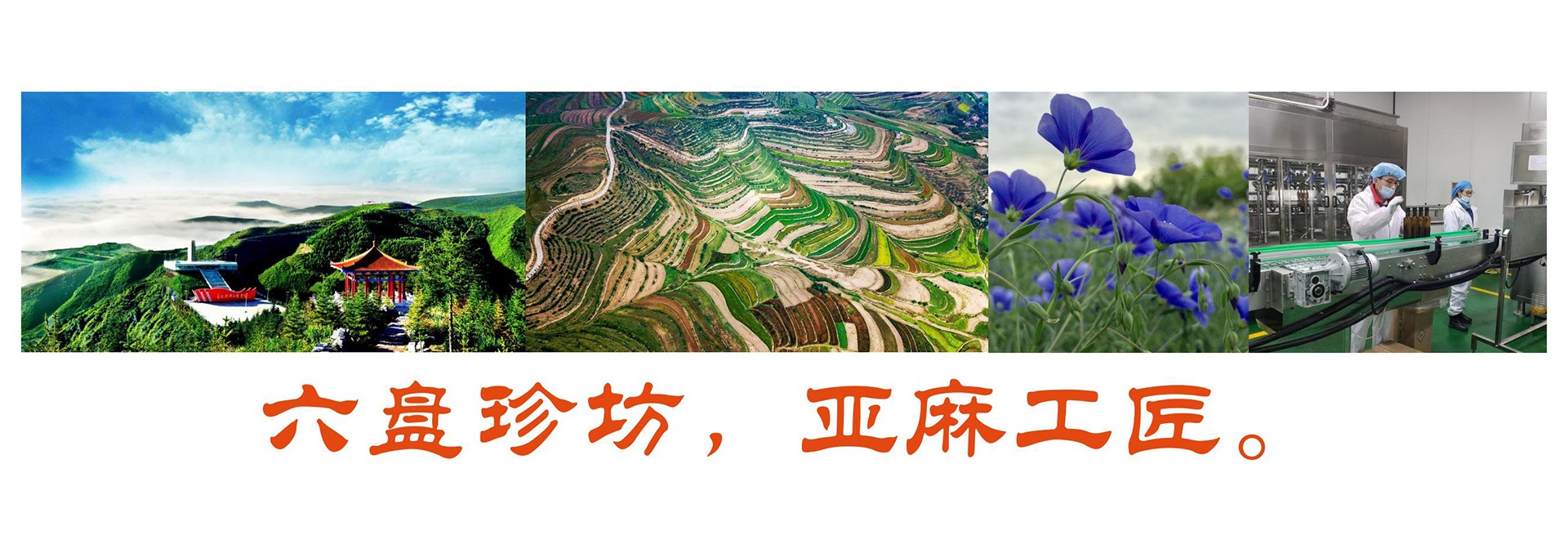 1685769672828532.jpg 11.jpg